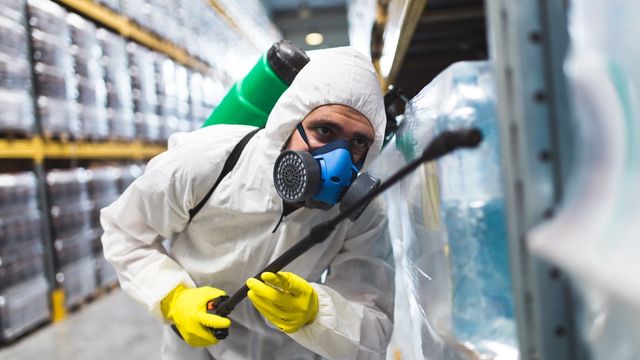 Pest Control Service 